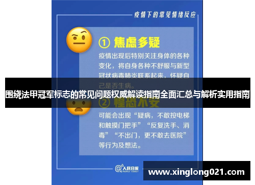 围绕法甲冠军标志的常见问题权威解读指南全面汇总与解析实用指南